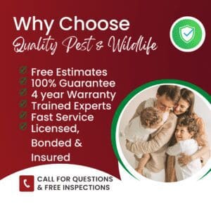 Wh y Choose Quality Pest & Wildlife